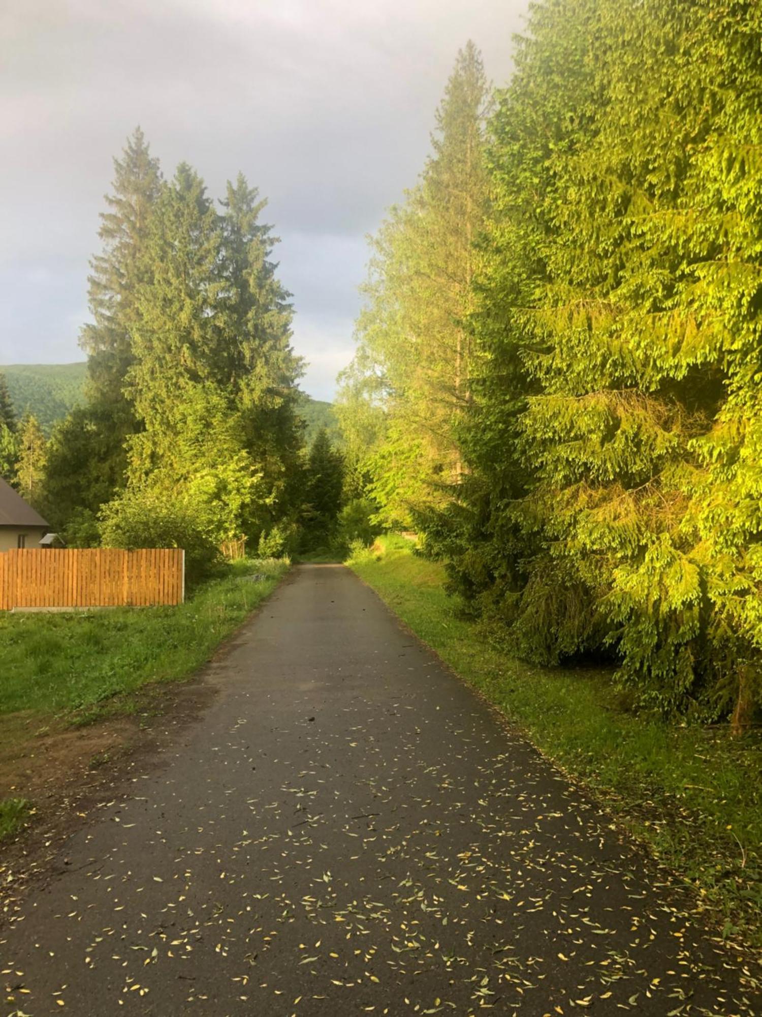 Lovelas - Apartamenty Smerek Exteriör bild